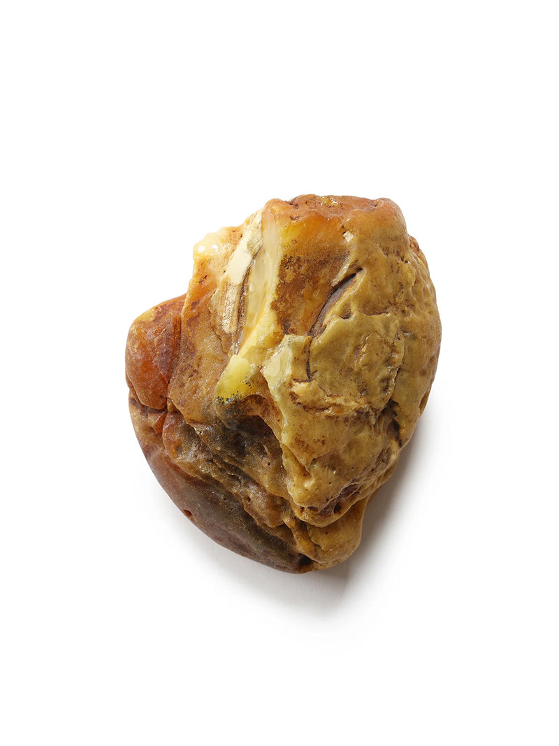 Jantar no. 1 bryła bałtyckiego bursztynu
